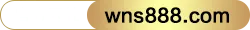wns888